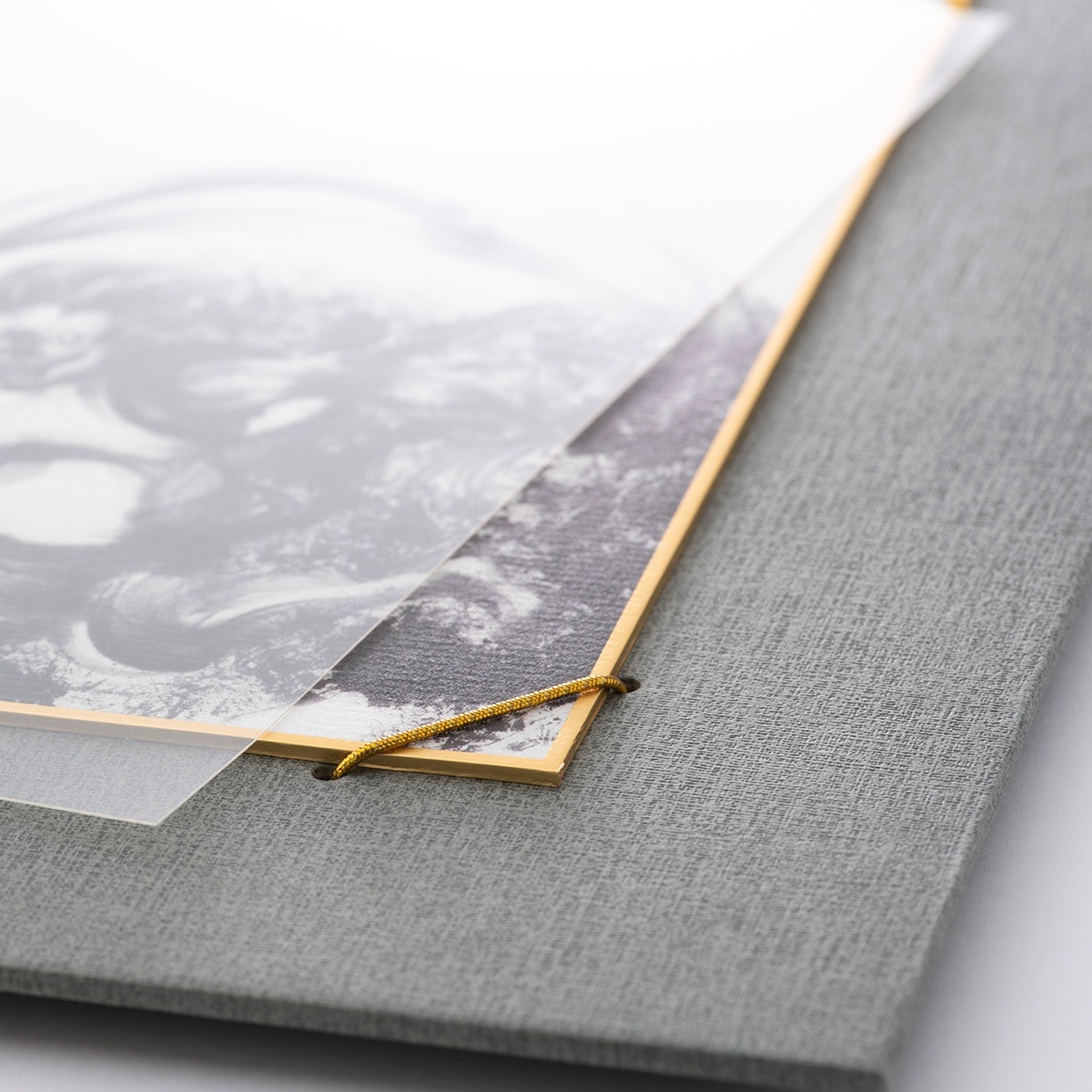 専用台紙
本作品はサイズの大きな色紙を使用しています。
