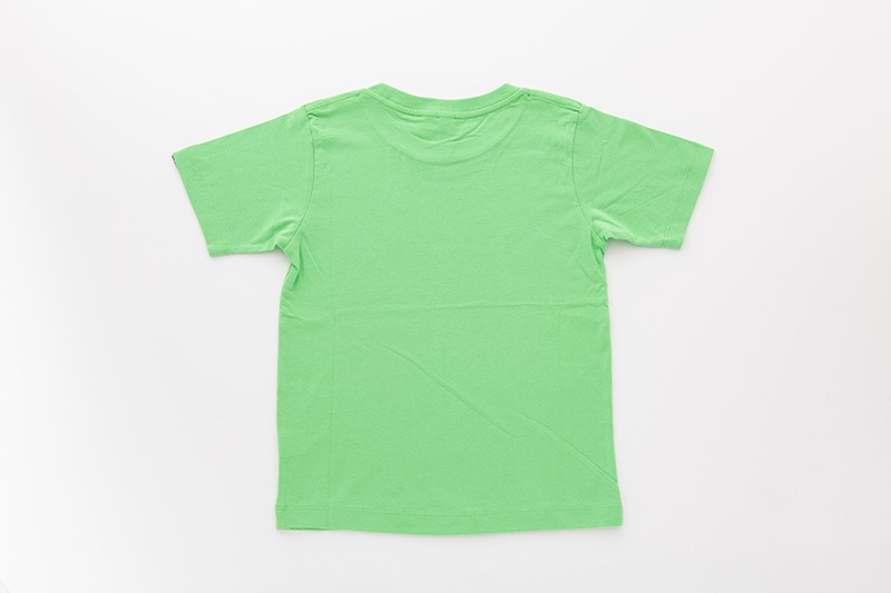 Tシャツ T.rex（ライトグリーン） | 墨絵・陶墨画アーティスト