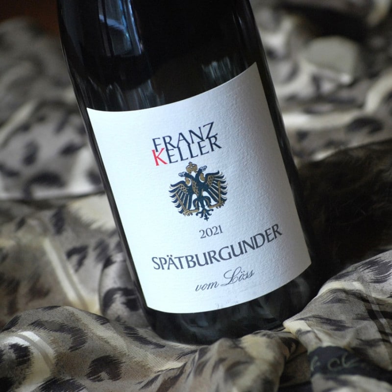 ����ڡ��ȥ֥륰������� "�ե��� �쥹" �� �ɸ� ��b-20�ۥե��ġ����顼��¤�� 2022ǯ �С��ǥ� 