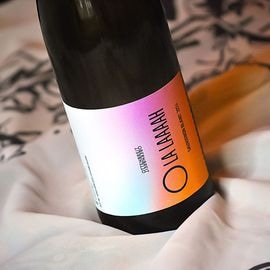 ���������˥�󡦥֥��� �� �ɸ� ��f-84_24�ۥ��åƥ�֥饤�Ⱦ�¤�� 2024ǯ �ե�󥱥� 