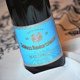 ¥ê¡¼¥¹¥ê¥ó¥°¼ï Çò ¿É¸ý ¡Úrg-79_18¡Û¥·¥å¥í¥¹¡¦¥é¥¤¥ó¥Ï¥ë¥Ä¥Ï¥¦¥¼¥ó¾ú¤½ê 2018ǯ ¥é¥¤¥ó¥¬¥¦»º ¥¨¥¢¥Ð¥Ã¥Ò¥ã¡¼¡¦¥Þ¥ë¥³¥Ö¥ë¥ó "¥í¥¤¥ä¥ë¥ê¥¶¡¼¥ô"