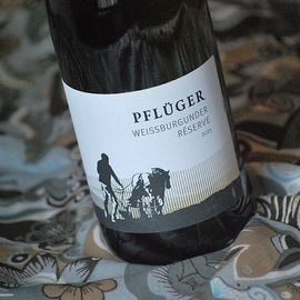 ���������֥륰������� �� �ɸ� ��p-76_23�ۥץե�塼������¤�� 2023ǯ �ץե���Ļ� 