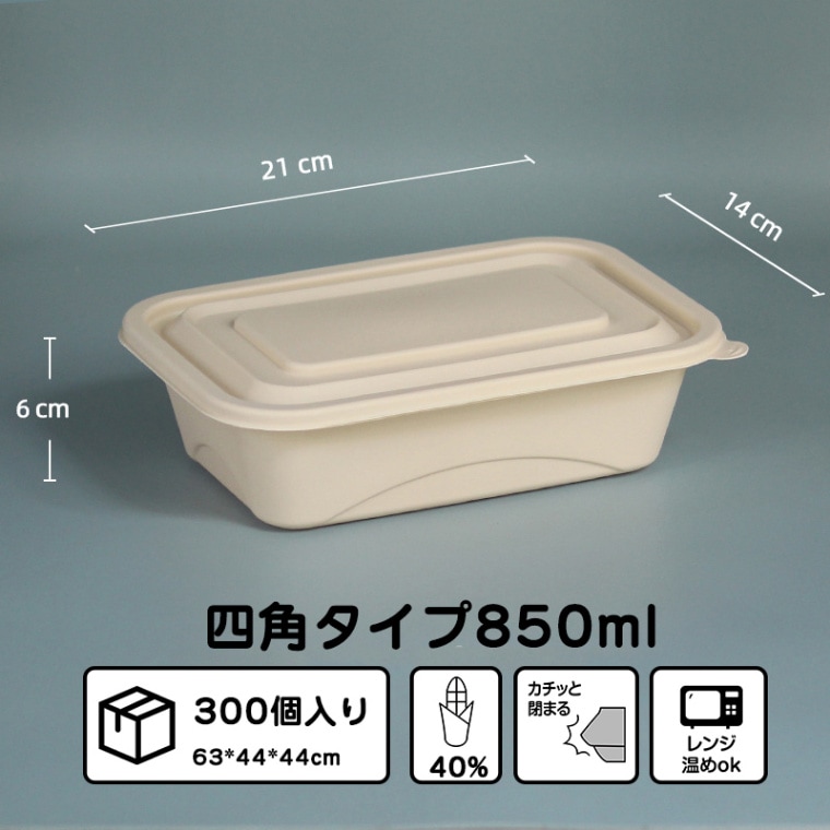 テイクアウト容器　300×1ケース 000000000102_R1wNCiZ.jpg