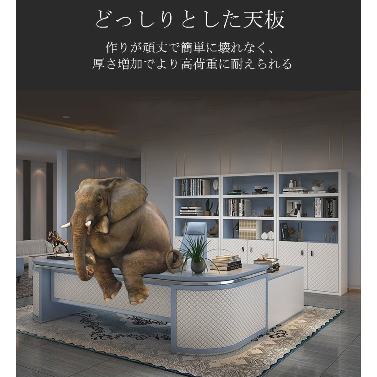 ���������ƥ��֡�����ǥ��������ե����ǥ���������ǥ������ǥ������ʥåѥ쥶�����磻��쥹���š������̼�Ǽ�����ƥ�쥹�ݡ������ɥ���ӥͥåȡ��ۥ磻�ȡ��֥롼���������ޥ�����ǽ