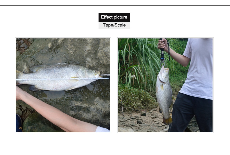 最大15kgまで計量機能付き フィッシュグリップ スケール キャッチャー フィッシュグリップメジャー プライヤー ステンレス製 魚掴み器 釣り具 魚釣り ランニング ジョギング Running Jogging その他 Satex