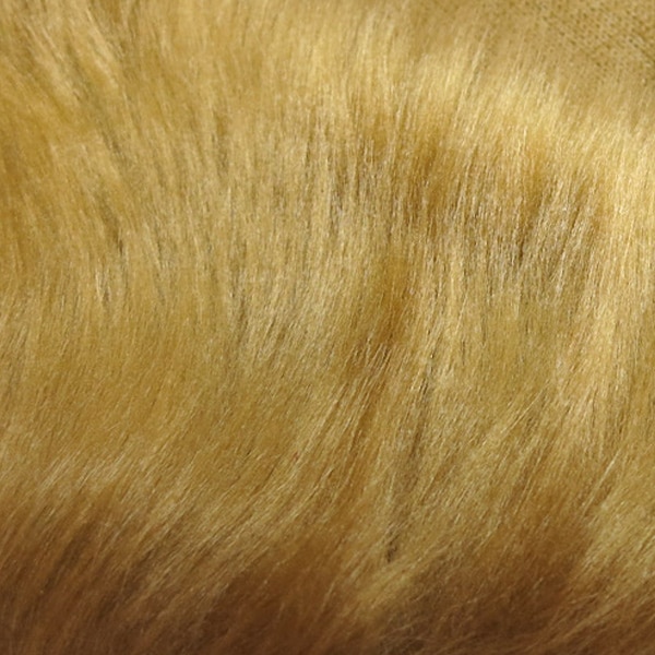 �ڽ������ϥ�����ۡڿ���5����� ���� �إ֥饤�ȥե������ե��� 805 (�������)��