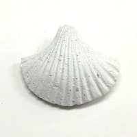 ボタン 『シェル ボタン SF-3』|パーツ・金具|カバン材料