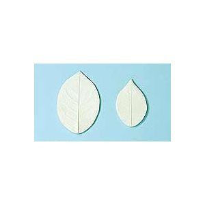 Ǵ���ѷ� �إХ���̮�� ���󹩶�