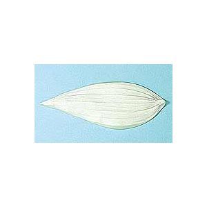 Ǵ���ѷ� �إ����֥����̮�� ���󹩶�