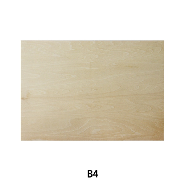  إ٥˥ѥͥ B4