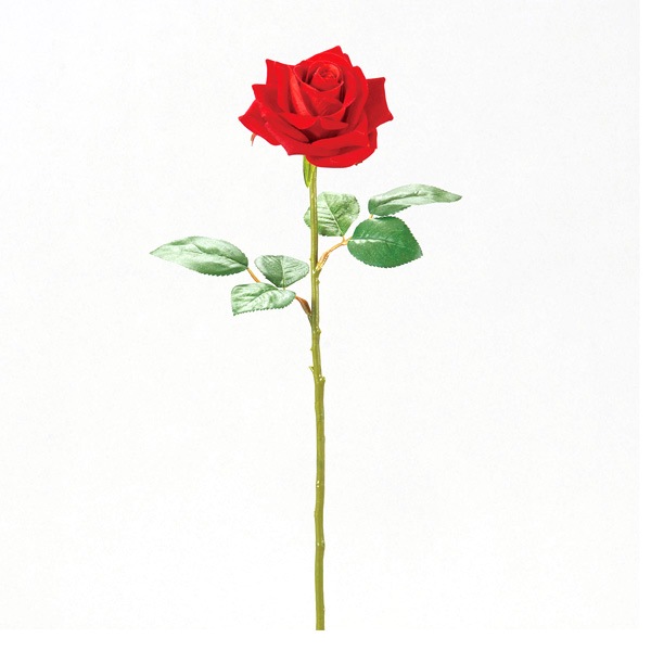 ¤�� ���륯�ե� �إ٥�٥åȥ����� FD3775-003��