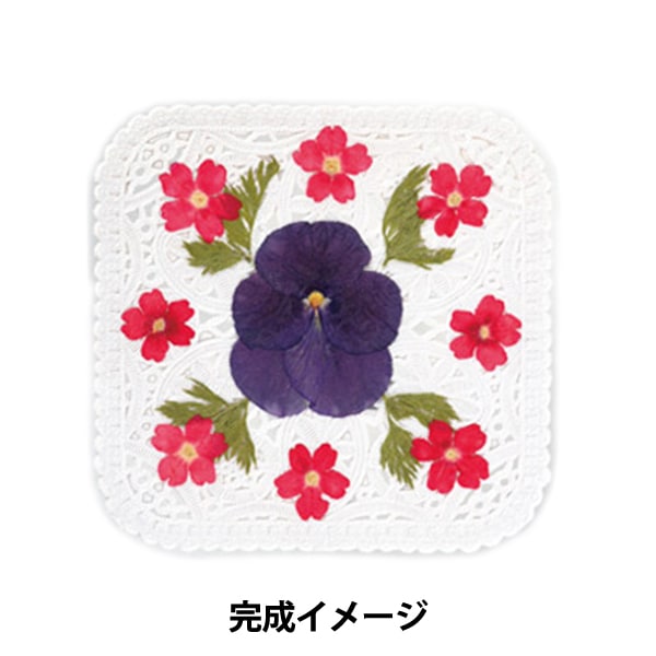 �����֥��å� �ز����֥������������åȡ㥹���������� KT050��