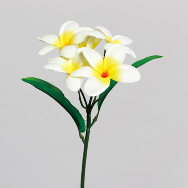 ¤�� ���륯�ե� �إץ��ꥢ�ԥå� F3775-278��