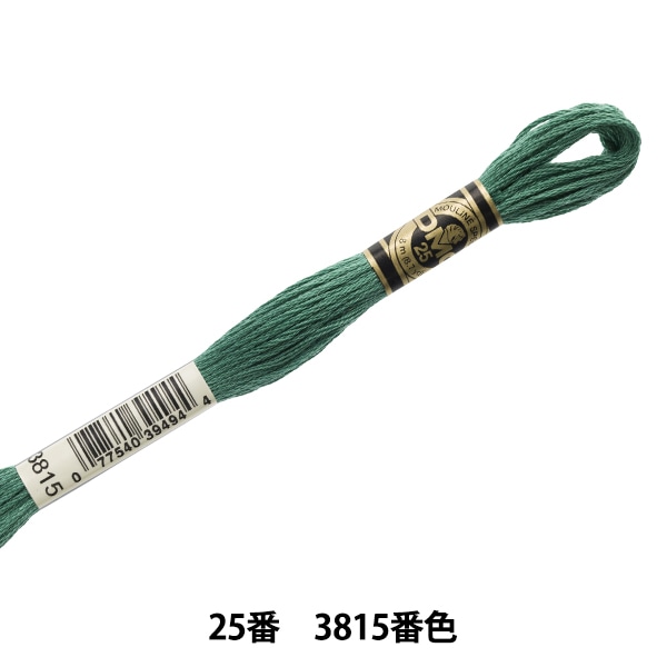 刺しゅう糸 『DMC 25番刺繍糸 3815番色』 DMC ディーエムシー 手芸