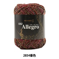 秋冬毛糸 『SKI Allegro (スキーアレグロ) 2854番色』 SKIYARN スキーヤーン|メーカーで探す|毛糸_