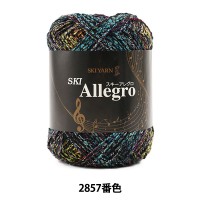 秋冬毛糸 『SKI Allegro (スキーアレグロ) 2857番色』 SKIYARN スキーヤーン|メーカーで探す|毛糸_