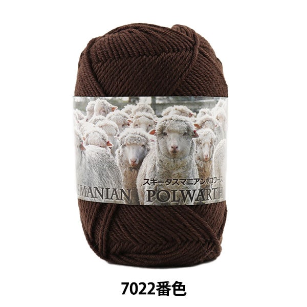 ӻ SKI TASMANIAN POLWARTH (ޥ˥ݥ) 7022ֿ SKIYARN 䡼
