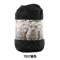 秋冬毛糸 『SKI TASMANIAN POLWARTH (スキータスマニアンポロワーズ) 7027番色』 SKIYARN スキーヤーン|メーカー|毛糸