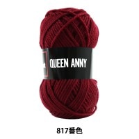 毛糸 『QUEEN ANNY (クイーンアニー) 817番色』 Puppy パピー|メーカーで探す|毛糸_