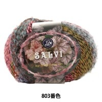 秋冬毛糸 『SALVI (サルヴィ) 803番色』 Puppy パピー|メーカーで探す|毛糸_