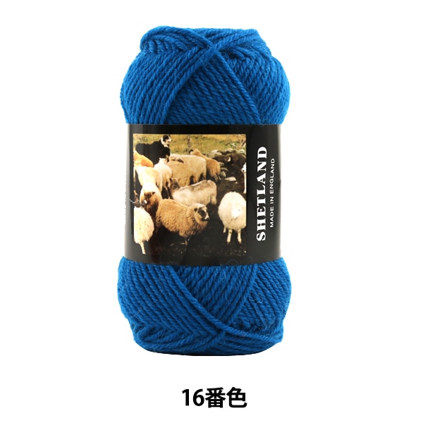 ӻ SHETLAND (åȥ) 16ֿ Puppy ѥԡ