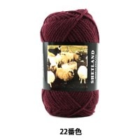 秋冬毛糸 『SHETLAND (シェットランド) 22番色』 Puppy パピー|メーカーで探す|毛糸_