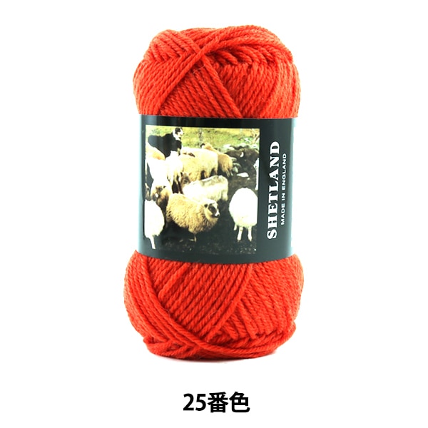 ӻ SHETLAND (åȥ) 25ֿ Puppy ѥԡ