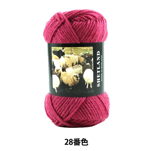 ӻ SHETLAND (åȥ) 28ֿ Puppy ѥԡ