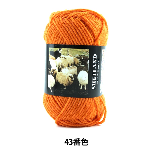 ӻ SHETLAND (åȥ) 43ֿ Puppy ѥԡ