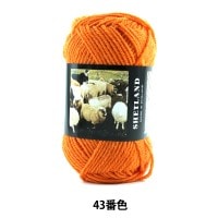 秋冬毛糸 『SHETLAND (シェットランド) 43番色』 Puppy パピー|メーカー|毛糸