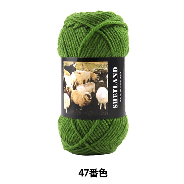 ӻ SHETLAND (åȥ) 47ֿ Puppy ѥԡ