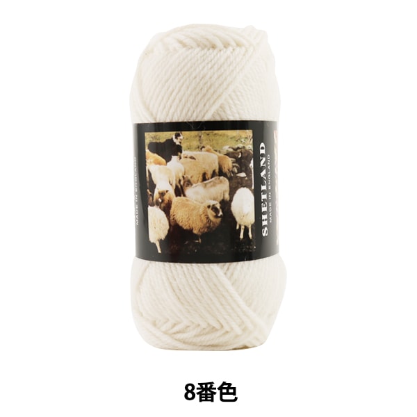 ӻ SHETLAND (åȥ) 8ֿ Puppy ѥԡ