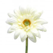 造花 シルクフラワー 『ショートガーベラ F3723 C』|シルクフラワー・造花|フラワー