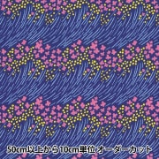 【数量5から】 生地 『kippis (キッピス) シーチング生地 強風C KPS-30C』|柄|生地・布