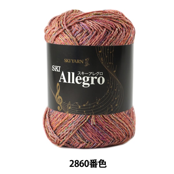 秋冬毛糸 『スキーアレグロ 2860番色』 SKIYARN スキーヤーン 毛糸_