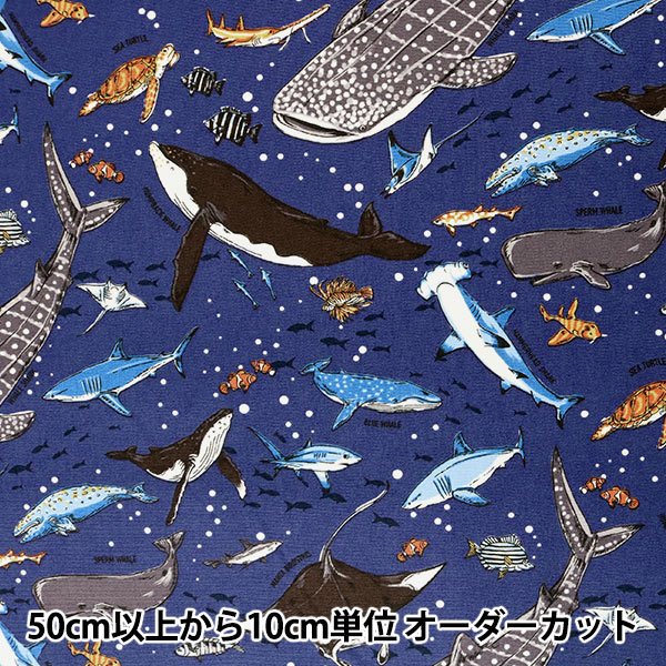 オーダー用生地サンプル 海の生き物 4色 オーダー用生地サンプル 海の