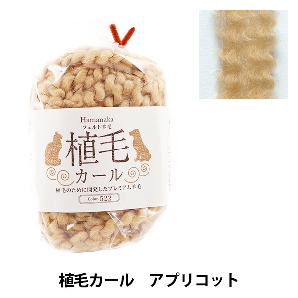 �����ӥե���ȥ������ ���ӥե���� �ؿ��ӥ����� 522�ֿ� ���ץꥳ�å� H440-005-522�� Hamanaka �ϥޥʥ�