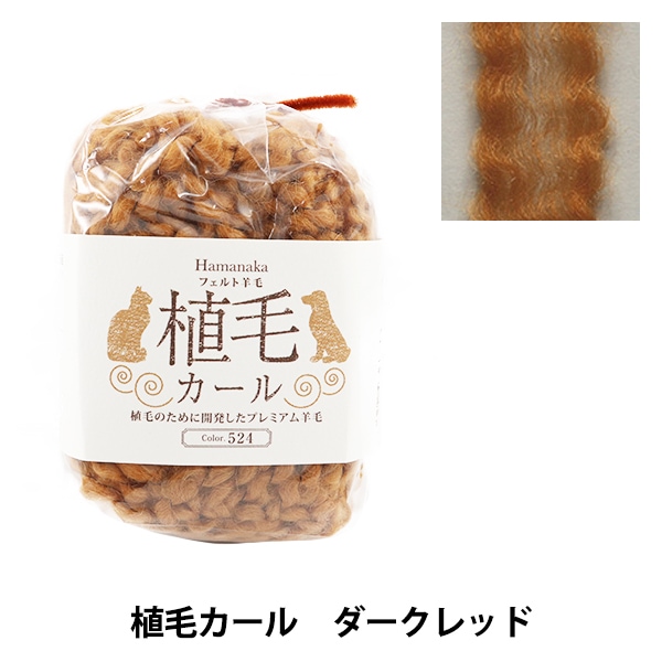 �����ӥե���ȥ������ ���ӥե���� �ؿ��ӥ����� 524�ֿ� ��������å� H440-005-524�� Hamanaka �ϥޥʥ�