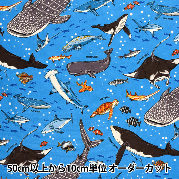 オーダー用生地サンプル 海の生き物 4色