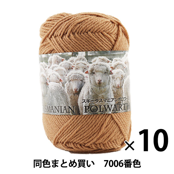 10̥åȡ۽ӻ SKI TASMANIAN POLWARTH(ޥ˥ݥ) 7006ֿ SKIYARN 䡼ڤޤȤ㤤
