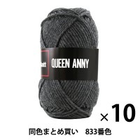10玉セット】毛糸 『QUEEN ANNY(クイーンアニー) 818番色