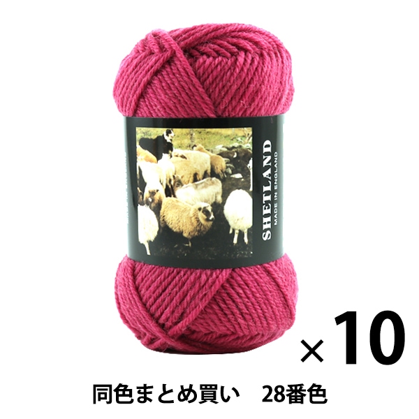 10̥åȡ۽ӻ SHETLAND(åȥ) 28ֿ Puppy ѥԡڤޤȤ㤤