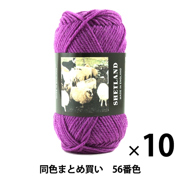 10̥åȡ۽ӻ SHETLAND(åȥ) 56ֿ Puppy ѥԡڤޤȤ㤤