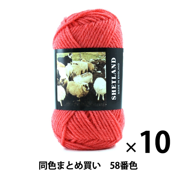 10̥åȡ۽ӻ SHETLAND(åȥ) 58ֿ Puppy ѥԡڤޤȤ㤤