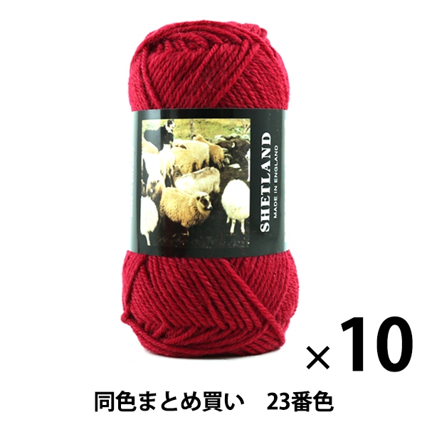 10̥åȡ۽ӻ SHETLAND(åȥ) 23ֿ Puppy ѥԡڤޤȤ㤤