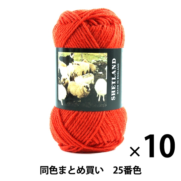 10̥åȡ۽ӻ SHETLAND(åȥ) 25ֿ Puppy ѥԡڤޤȤ㤤