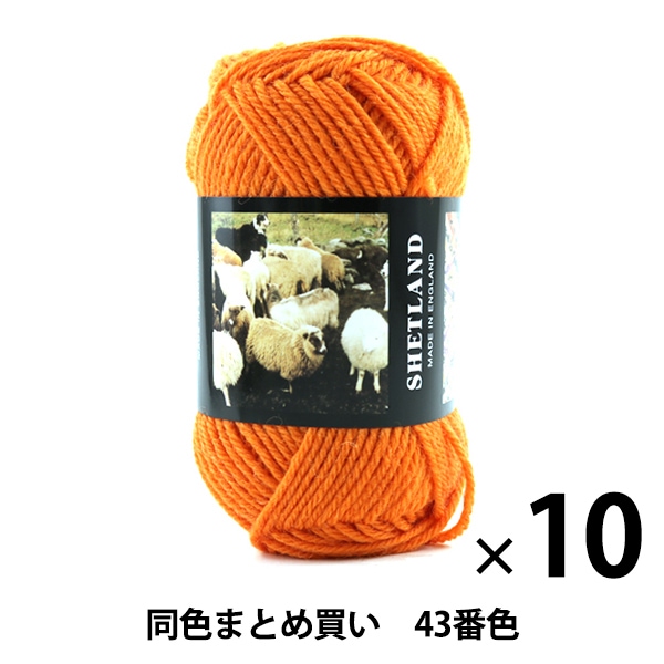 10̥åȡ۽ӻ SHETLAND(åȥ) 43ֿ Puppy ѥԡڤޤȤ㤤