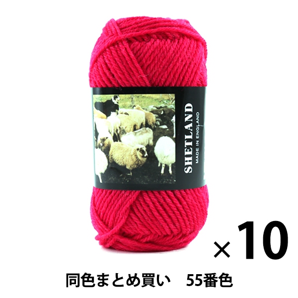 10̥åȡ۽ӻ SHETLAND(åȥ) 55ֿ Puppy ѥԡڤޤȤ㤤