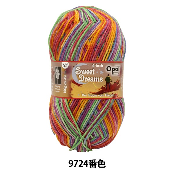 Opalオパール デイドリーム 6ply ソックヤーン 毛糸 1kg 