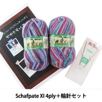 Opal毛糸＆編針特別セット『Hundertwasser(フンデルトヴァッサー)＋輪 